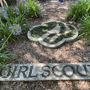 Fundraising Page: Marissa Mohn